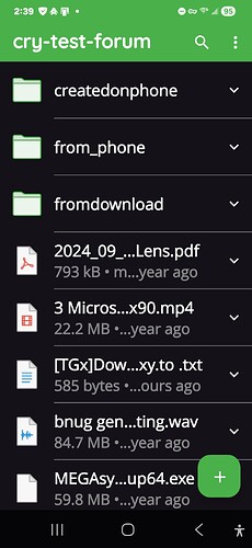 Screenshot_20260208_023911_Cryptomator