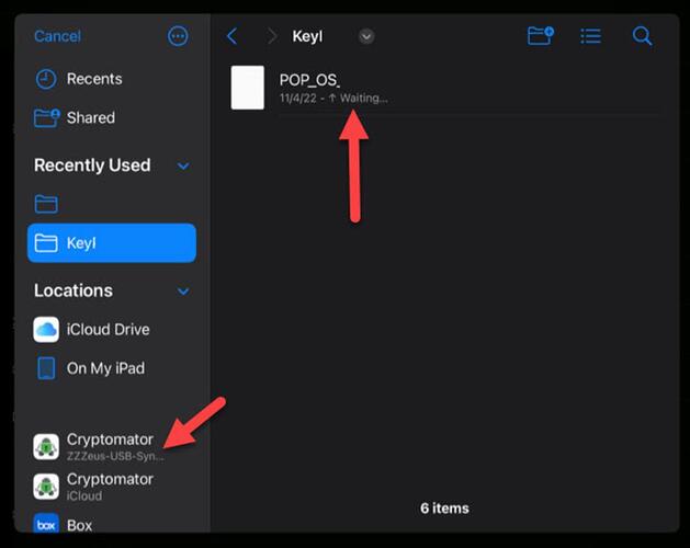 Cryptomator-iOS-issue