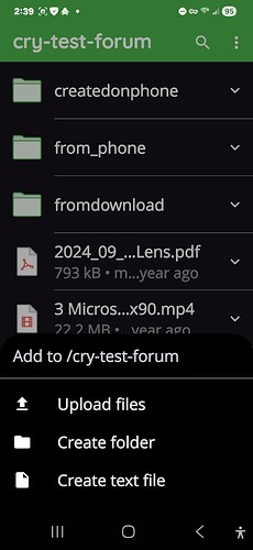 Screenshot_20260208_023923_Cryptomator