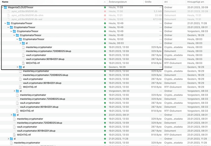 Cryptomator_MacOS_folders-duplicated