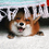 Mr_Fox